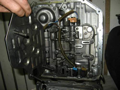 Img-0300