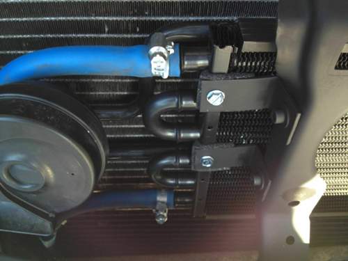 Img-3039