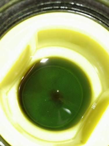 Img-20191215