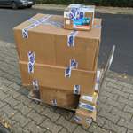 Fedex-freuts