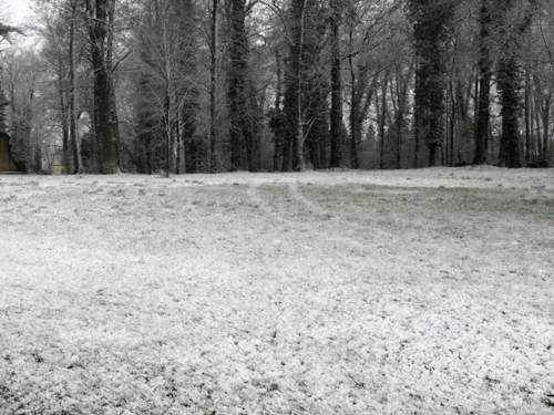 Schnee