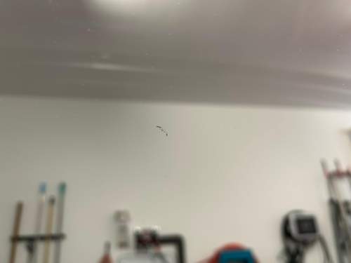 Bild #211420668