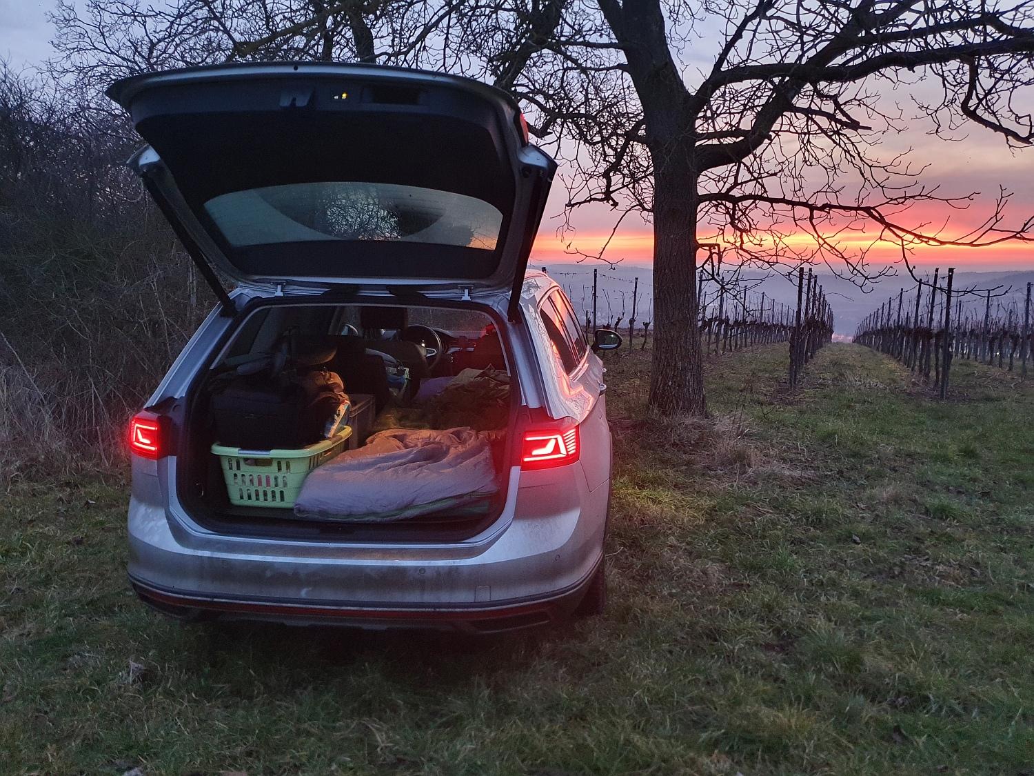 Show your Passat!