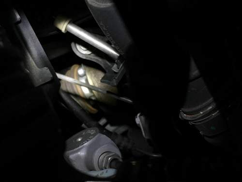 Image1