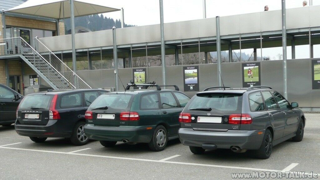 Sind Elche Rudeltiere?