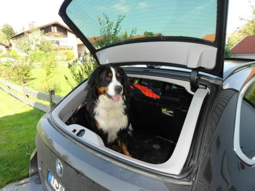 Bmw-rudi