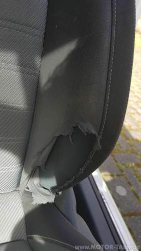 Bild-1
