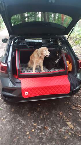 IMG-20201003-WA0005.jpeg