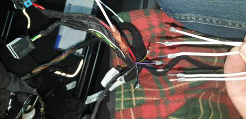 ..alte Stecker abgeschnitten und neuen Stecker bearbeitet :).jpg