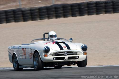 Sunbeam-tiger-1