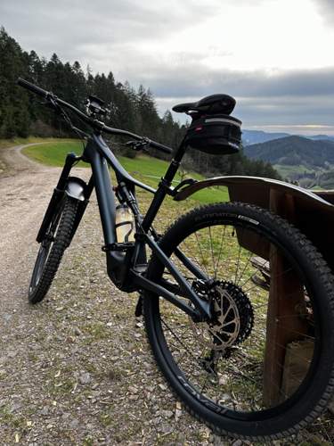 SL Expert Carbon