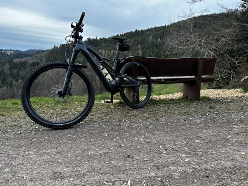 SL Expert Carbon