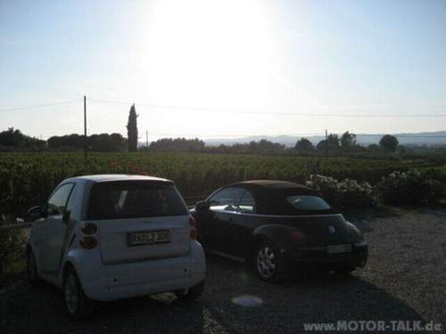 Img-0127