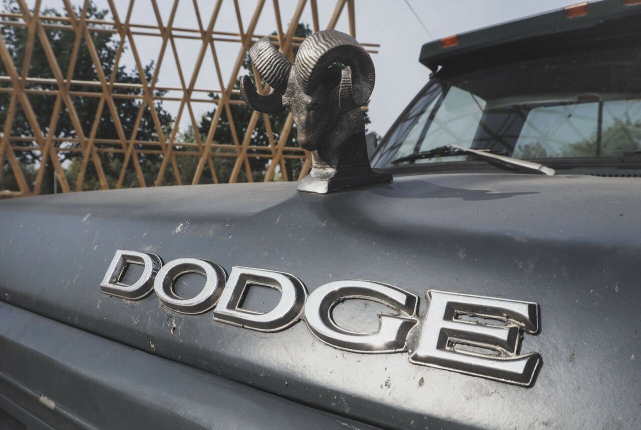 Bis 1981 war der Ram noch keine eigene Modellreihe bei Dodge, sondern eine Sonderausführung der D- beziehungsweise W-Serie