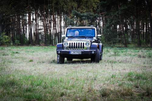 Einer für Feld, Wald, Wiese und Moor: Jeep Wrangler Rubicon