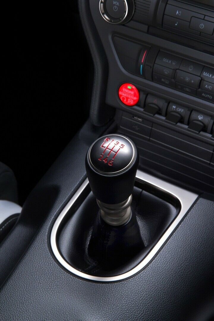 Shelby GT350R Mustang: Detail