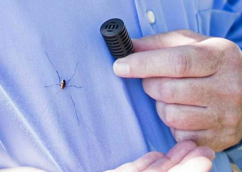 So sieht das Spinnenabwehrsystem "Spider Screen" aus. Links davon: Ein Vertreter der heimtückischen Tankanlagen-Bewohner