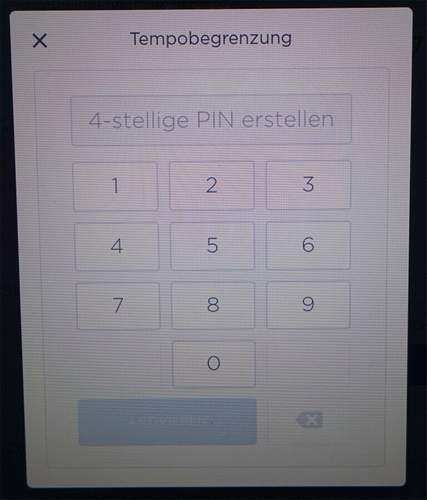 Tempobegrenzung-pin