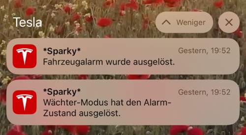 .jpg