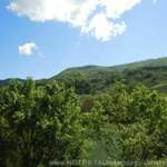 Dscn3519