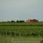 Dscn3882
