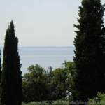 Dscn3966
