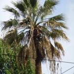 Dscn2843