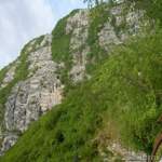 Dscn7681a1384