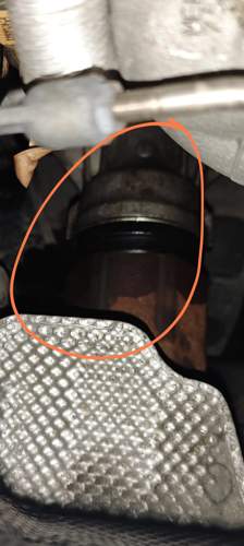 Öl
