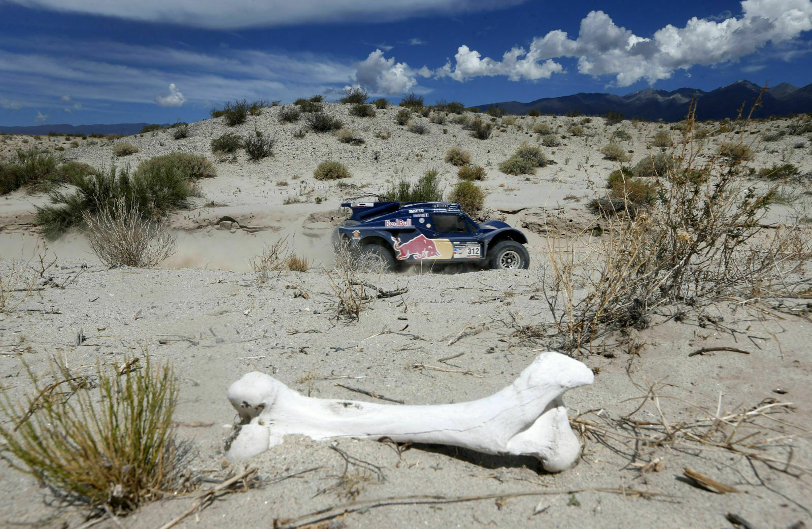 Die Rallye Dakar zählt zu den härtesten Sportveranstaltungen der Welt, für Mensch und Auto. In diesem Jahr treten 155 Autos an, plus 196 Motorräder, 48 Quads und 76 Lkw