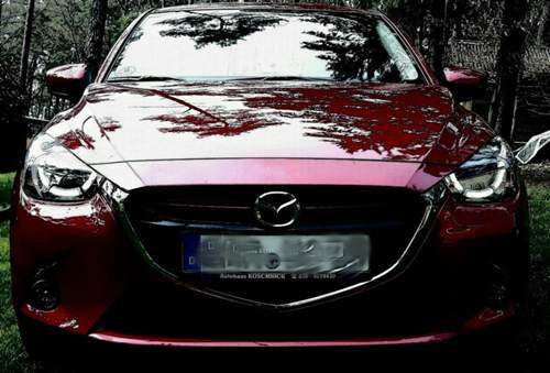 Aviary-image-1461091860292.jpeg