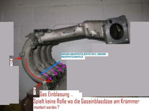 Bild-2