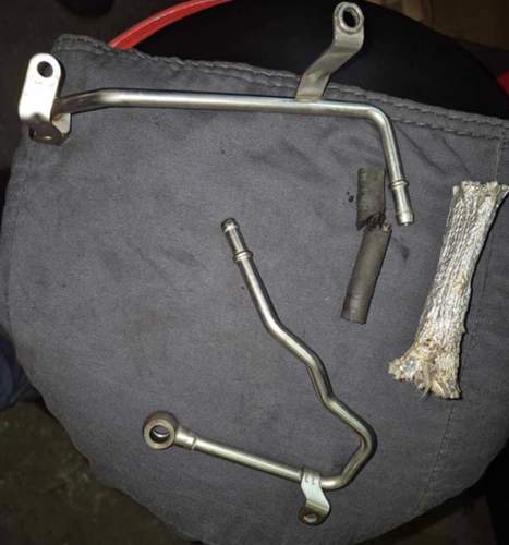 Abgasrücklaufdrucksensor