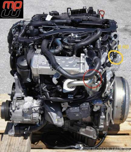 B60