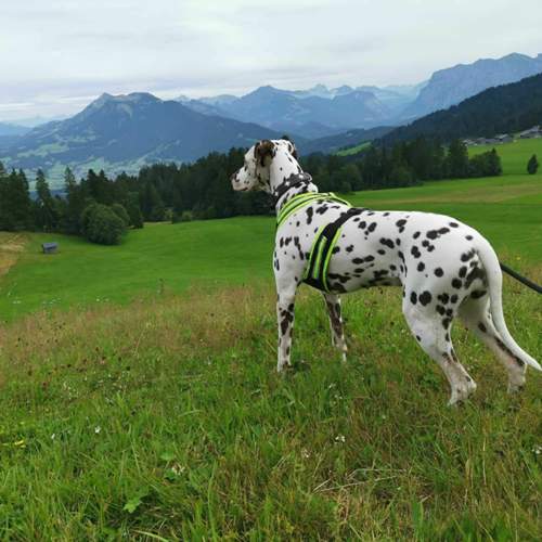 Img-20190818-153412
