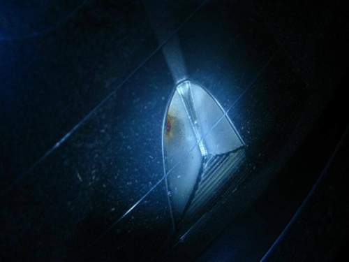 Img-1341