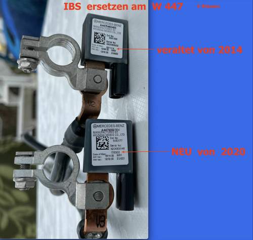 Aktueller IBS für W447