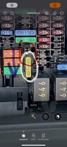 Asset.PNG.jpg