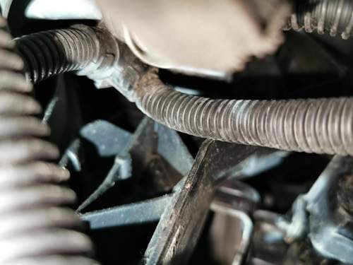 Img-20190531-201151