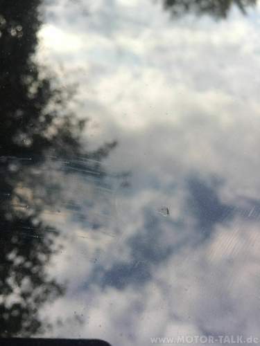 Img-4416