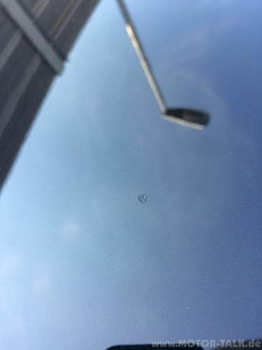 Img-4397