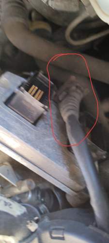Img-20240111