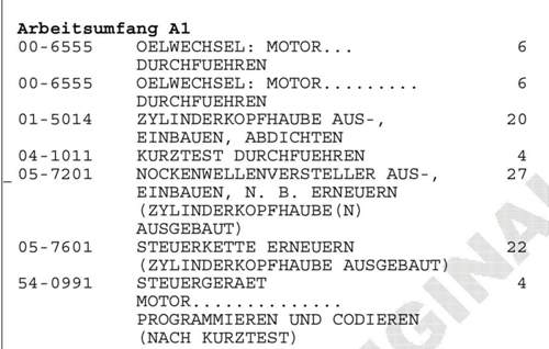 AW Steuerkettenwechsel incl Nockenwellensteller und Gleitschienen.jpg