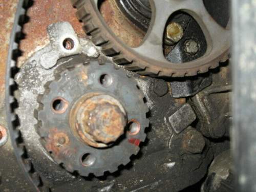 Img-1455