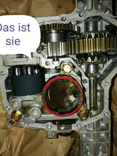 Die Druckplatte.