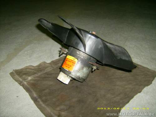 Dsci0237