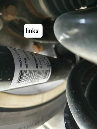 Daempfer links.jpg
