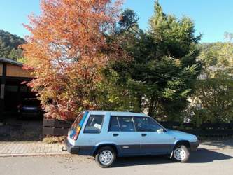 Tercel5
