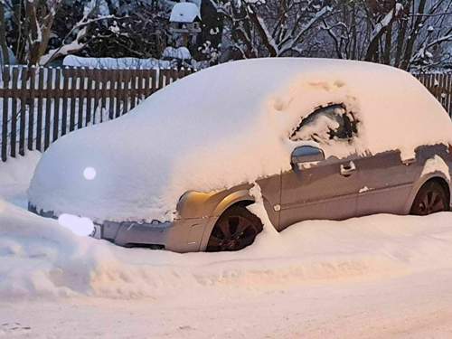 Winter-2021