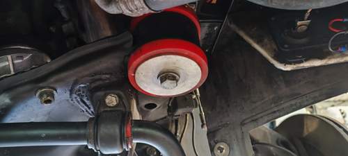 IMG_20230817_161133.jpg